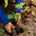 Jambore PSKS DIY 2026 Wujudkan Kepedulian Sosial Nyata di Gunungkidul