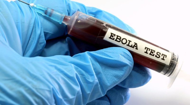 ilustrasi virus ebola bundibugyo