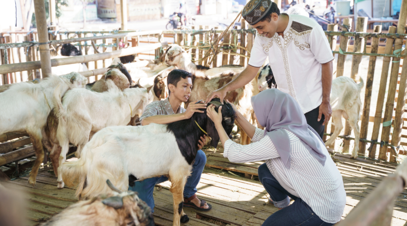 persiapan hari raya idul adha